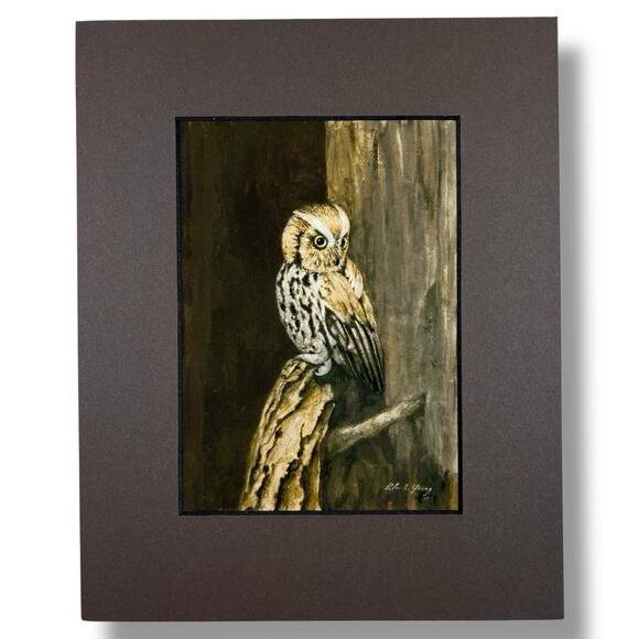 Vintage Owl Art Print Alan R Young Signed 2009 Wildlife Rustic Décor Matted 8x10 - Picture 5 of 6